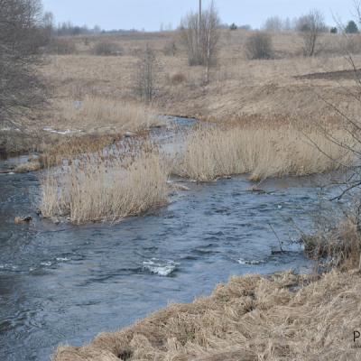 В поисках воды