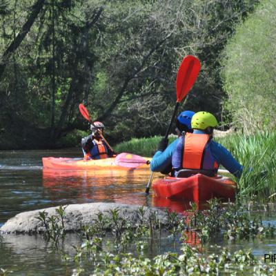В поисках воды