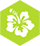 icon0