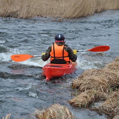 В поисках воды В поисках воды