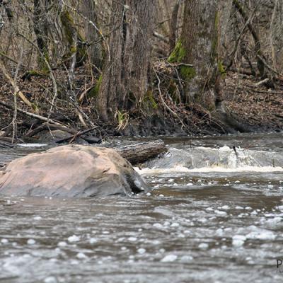 В поисках воды В поисках воды