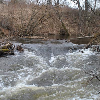 В поисках воды В поисках воды
