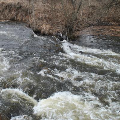 В поисках воды В поисках воды