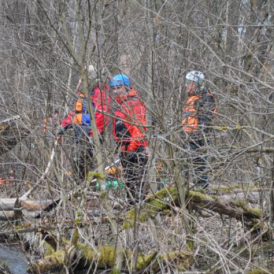 В поисках воды В поисках воды