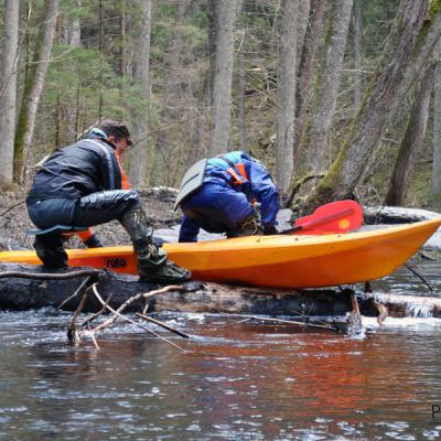В поисках воды В поисках воды