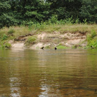 Сплав по Нарочанке Сплав по Нарочанке