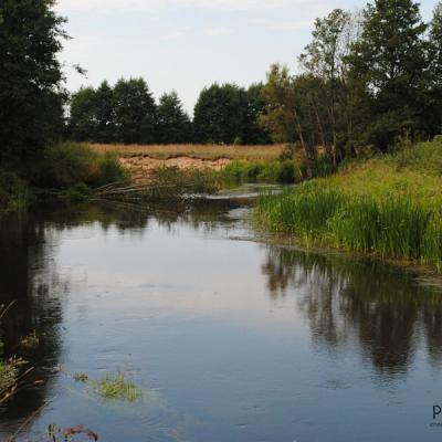 Сплав по Нарочанке Сплав по Нарочанке