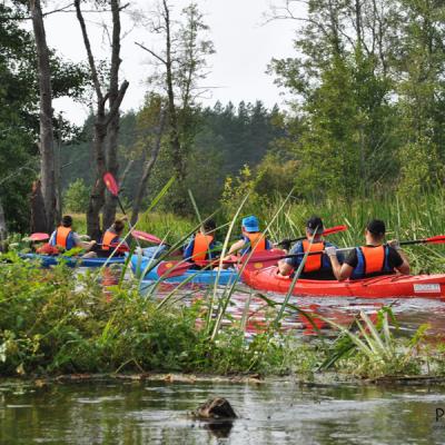 Мультитур Мультитур