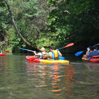 Мультитур Мультитур