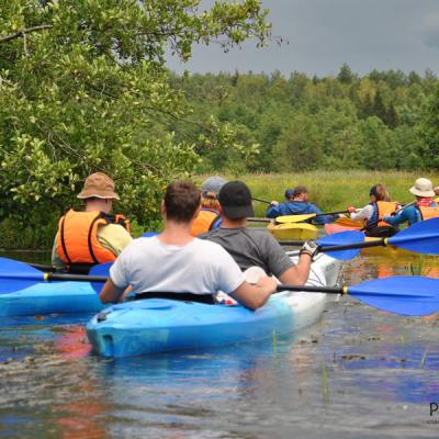 Мультитур Мультитур