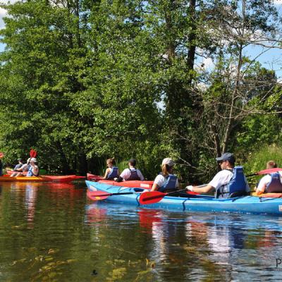 Мультитур Мультитур