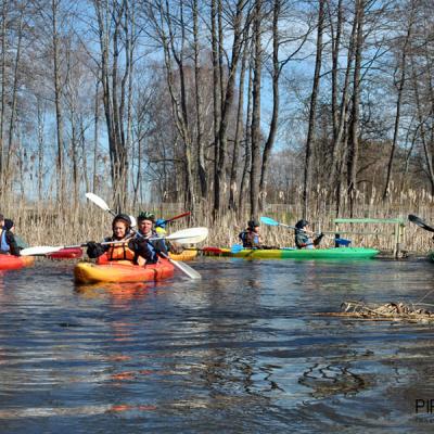 В поисках воды В поисках воды
