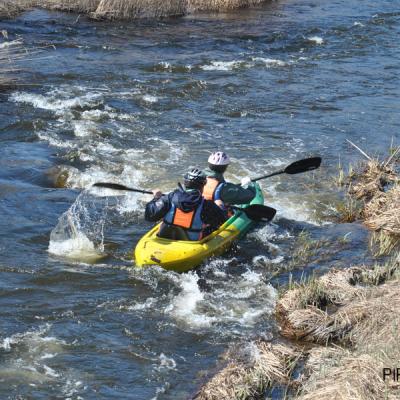В поисках воды В поисках воды